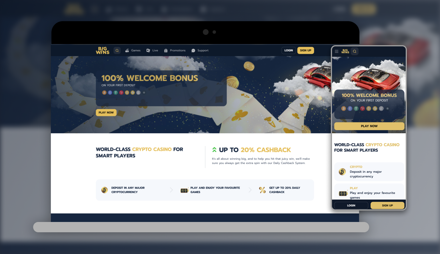 BigWins Gambling Enterprise Evaluation